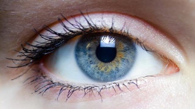 Орган зрения - анатомическое строение глаза человека, его функции и особенности физиологии органа