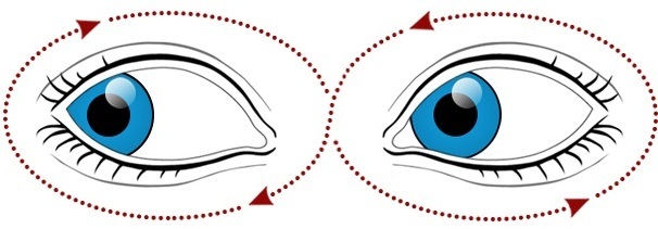 Гимнастика для глаз по Норбекову: методика восстановления зрения