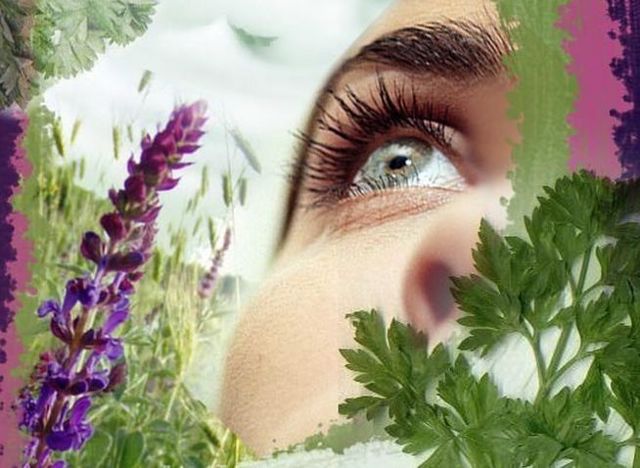 Травы для улучшения зрения в народной медицине, рецепты трав улучшающие зрение для восстановления