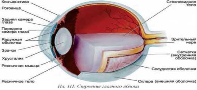 Катаракта: операция, противопоказания после удаления катаракты глаза