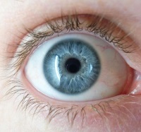 Как называется разное зрение на глазах, причины разного зрения глаз