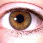 Аккомодация глаза: физиологические механизмы аккомодации глаза