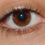 Аккомодация глаза: физиологические механизмы аккомодации глаза