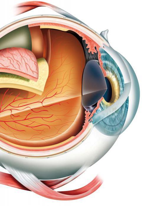 «Глазник» - аппарат для лечения катаракты без операции