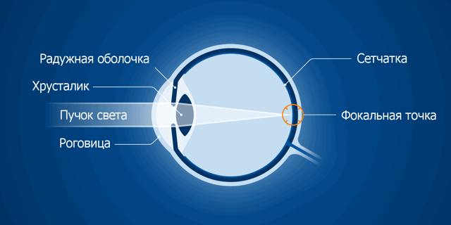Как улучшить зрение, восстановить на 100% путем коррекции зрения?