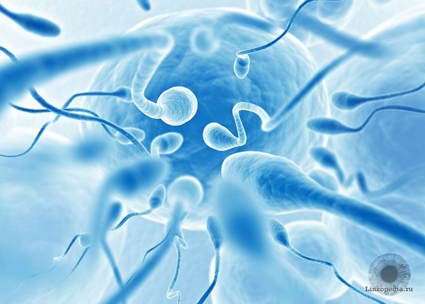 Что делать, если сперма попала в открытый глаз?
