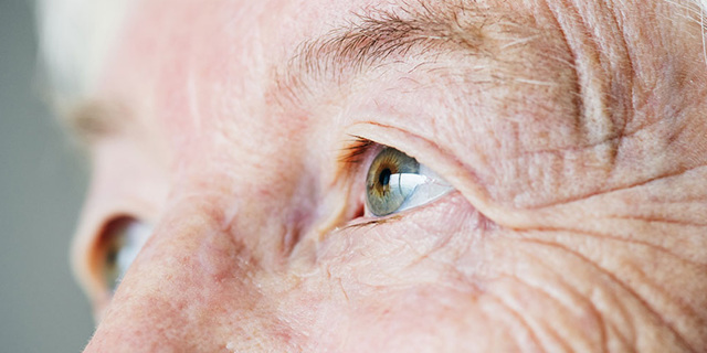 Факичные ИОЛ при катаракте - можно ли улучшить зрение