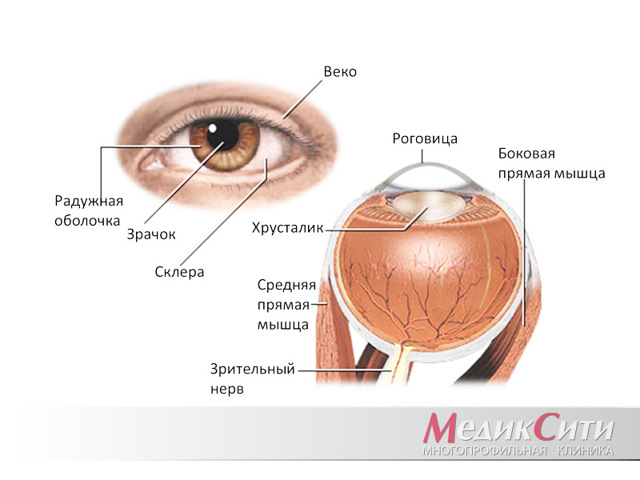 Эпиретинальная мембрана после отслойки сетчатки глаза