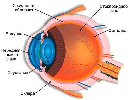 Мультфокальные ИОЛ при замене хрусталика глаза - цена операции