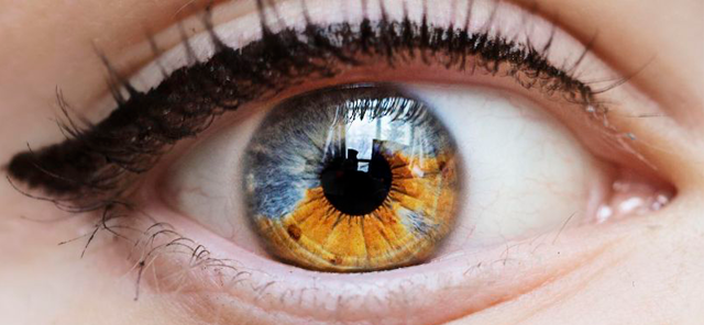 Значение цвета глаз у человека