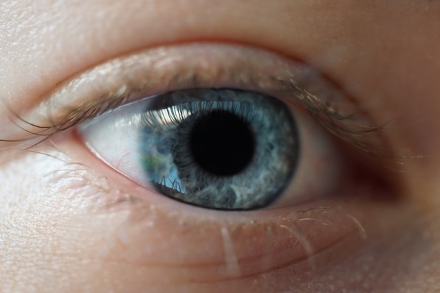 Чем окулист отличается от офтальмолога: есть ли разница?