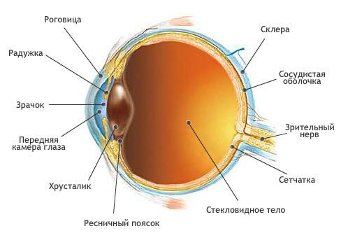 Лазерные операции при пигментной дистрофии сетчатки глаза