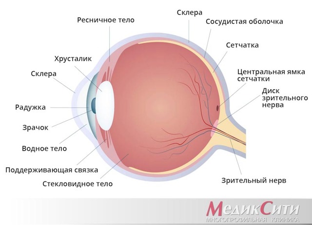 Травма глаза - после удара глазное яблоко не двигается
